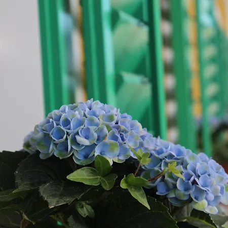 Burgunderhof - Steiermark Holiday home *