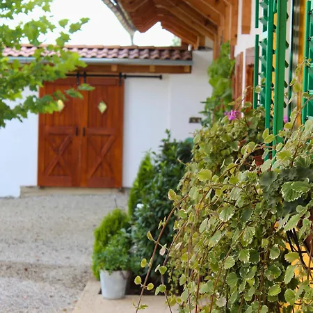 Burgunderhof - Steiermark Holiday home