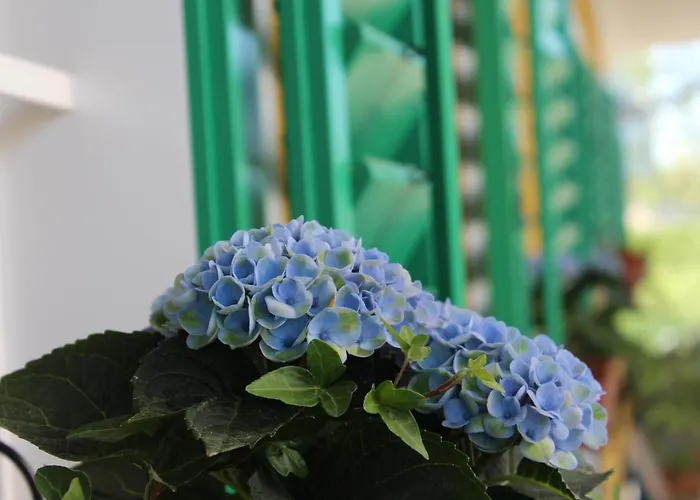 Burgunderhof - Steiermark Ferienhaus *